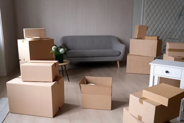 Paketleme Malzemeleri